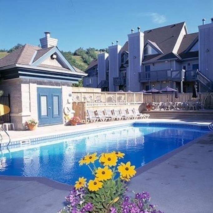 Blue Mountain Suites Blue Mountains Exteriör bild