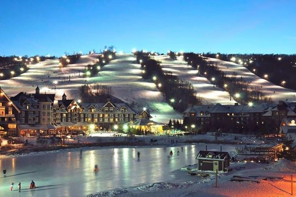 Blue Mountain Suites Blue Mountains Exteriör bild