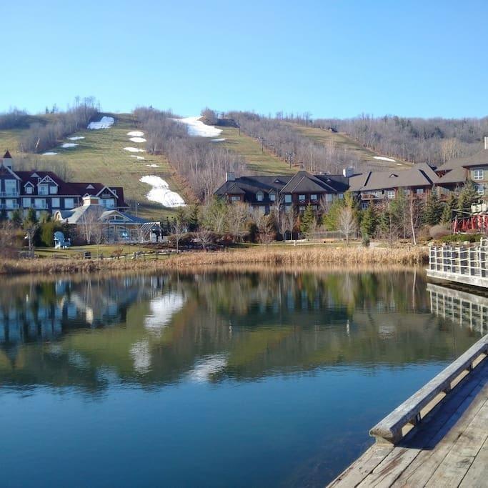 Blue Mountain Suites Blue Mountains Exteriör bild